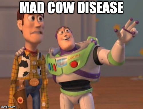 X, X Everywhere Meme | MAD COW DISEASE | image tagged in memes,x x everywhere | made w/ Imgflip meme maker