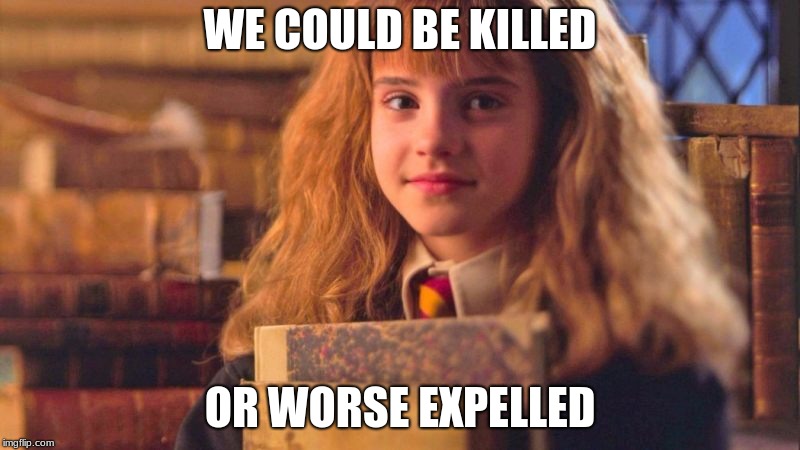 WE COULD BE KILLED; OR WORSE EXPELLED | image tagged in hermione granger,books,memes | made w/ Imgflip meme maker