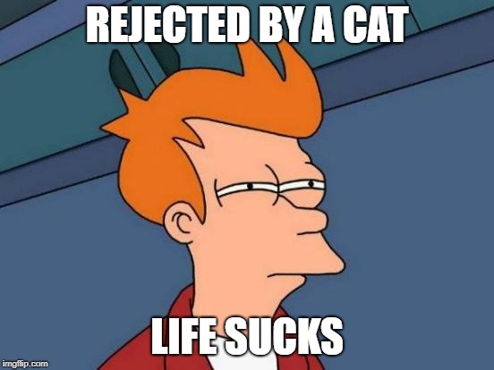 Futurama Fry Meme | REJECTED BY A CAT LIFE SUCKS | image tagged in memes,futurama fry | made w/ Imgflip meme maker