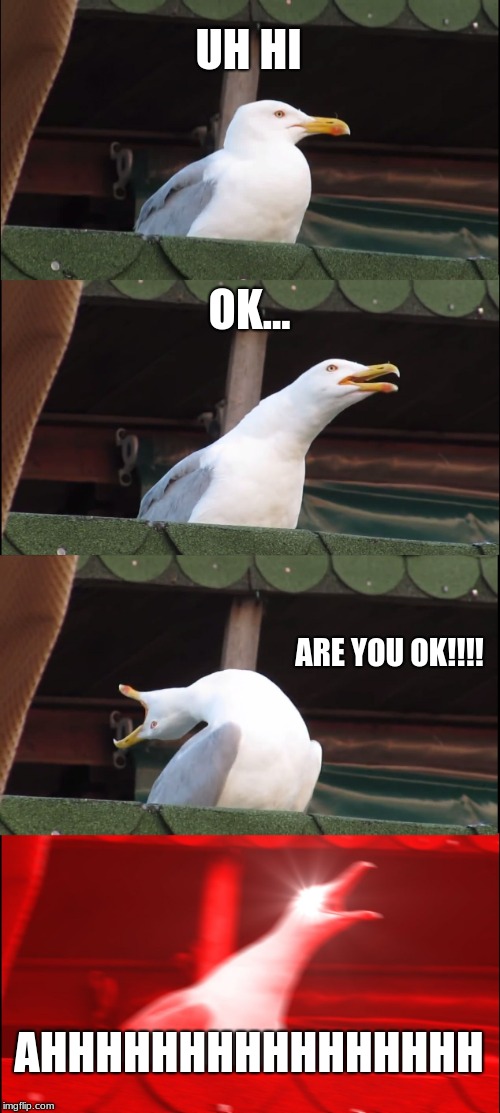 Inhaling Seagull | UH HI; OK... ARE YOU OK!!!! AHHHHHHHHHHHHHHHH | image tagged in memes,inhaling seagull | made w/ Imgflip meme maker