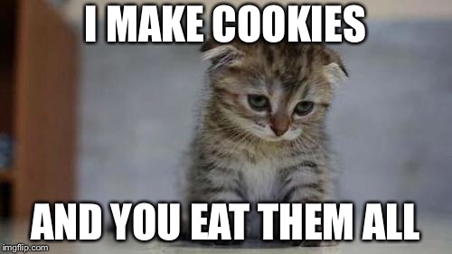 Sad kitten | I MAKE COOKIES; AND YOU EAT THEM ALL | image tagged in sad kitten | made w/ Imgflip meme maker