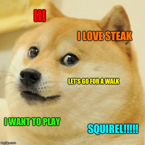 Doge Meme | HI; I LOVE STEAK; LET'S GO FOR A WALK; I WANT TO PLAY; SQUIREL!!!!! | image tagged in memes,doge | made w/ Imgflip meme maker