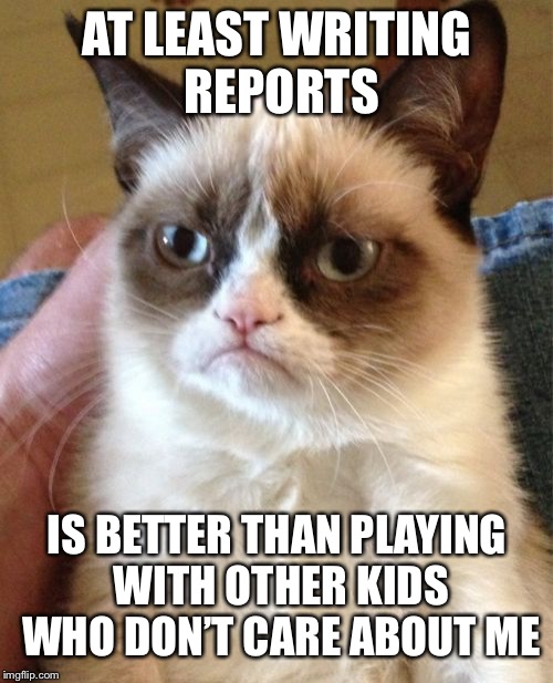 Grumpy Cat Meme | AT LEAST WRITING REPORTS IS BETTER THAN PLAYING WITH OTHER KIDS WHO DON’T CARE ABOUT ME | image tagged in memes,grumpy cat | made w/ Imgflip meme maker