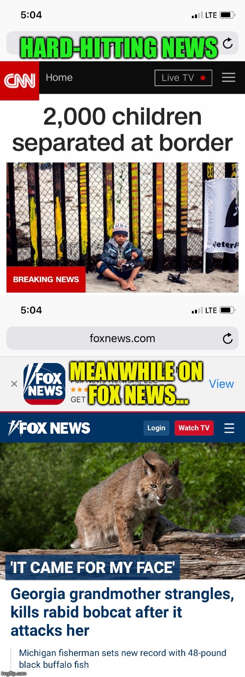 HARD-HITTING NEWS; MEANWHILE ON FOX NEWS... | image tagged in memes,cnn real news,fox fake news | made w/ Imgflip meme maker