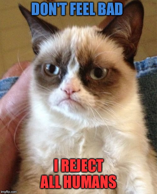 Grumpy Cat Meme | DON'T FEEL BAD I REJECT ALL HUMANS | image tagged in memes,grumpy cat | made w/ Imgflip meme maker