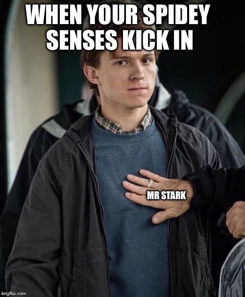 WHEN YOUR SPIDEY SENSES KICK IN; MR STARK | image tagged in spiderman | made w/ Imgflip meme maker