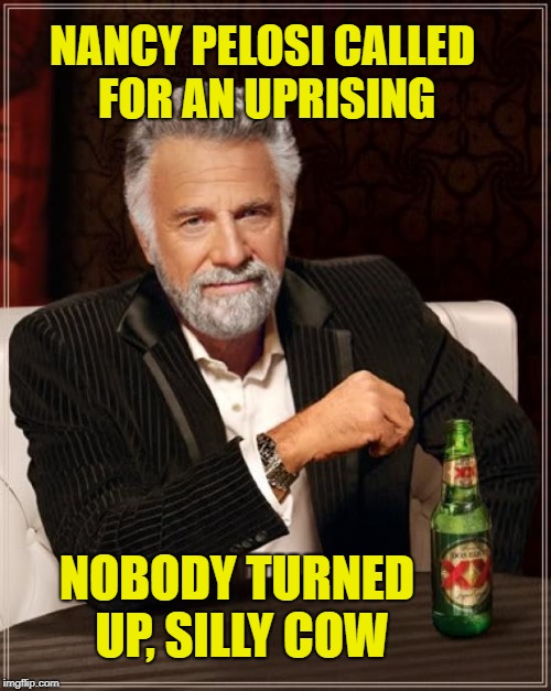 The Most Interesting Man In The World Meme | NANCY PELOSI CALLED FOR AN UPRISING; NOBODY TURNED UP, SILLY COW | image tagged in memes,the most interesting man in the world | made w/ Imgflip meme maker