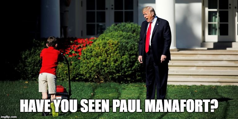 HAVE YOU SEEN PAUL MANAFORT? | image tagged in politics,trump is a moron | made w/ Imgflip meme maker