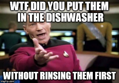 c'mon man | WTF DID YOU PUT THEM IN THE DISHWASHER; WITHOUT RINSING THEM FIRST | image tagged in memes,picard wtf | made w/ Imgflip meme maker