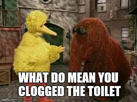 Took a healthy one |  WHAT DO MEAN YOU CLOGGED THE TOILET | image tagged in memes,big bird and snuffy | made w/ Imgflip meme maker