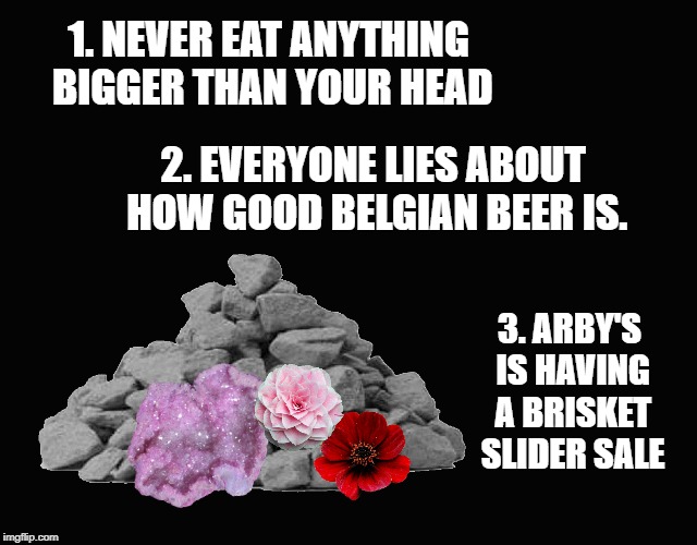 LOW QUALITY ZEN MOTIVATIONAL POSTERS | 1. NEVER EAT ANYTHING BIGGER THAN YOUR HEAD; 2. EVERYONE LIES ABOUT HOW GOOD BELGIAN BEER IS. 3. ARBY'S IS HAVING A BRISKET SLIDER SALE | image tagged in sage advice,clip art,rocks and flowers,arby's | made w/ Imgflip meme maker