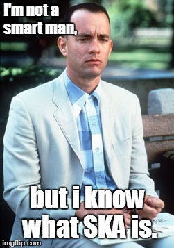 forrest gump | I'm not a smart man, but i know what SKA is. | image tagged in forrest gump | made w/ Imgflip meme maker