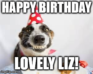 Birthday Dog | HAPPY BIRTHDAY; LOVELY LIZ! | image tagged in birthday dog | made w/ Imgflip meme maker