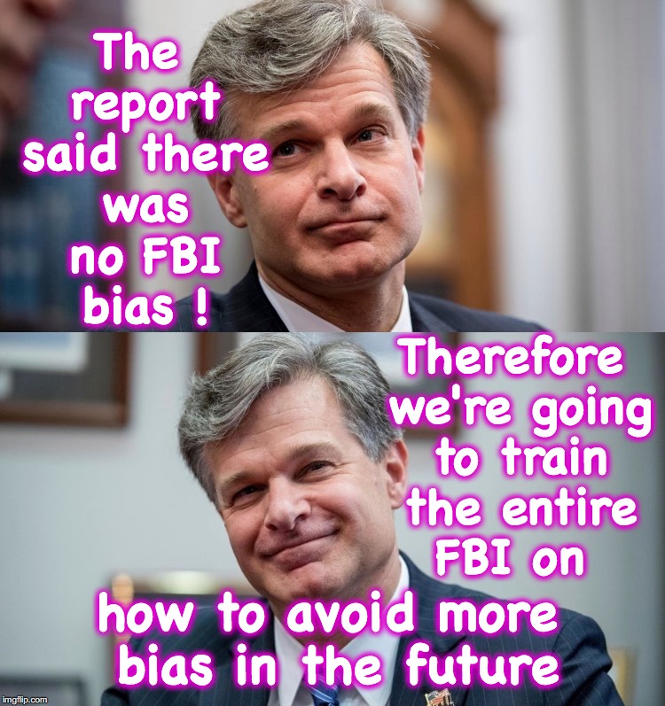 'I see what you did there', FBI Wray.... | The report said there was no FBI bias ! Therefore we're going to train the entire FBI on; how to avoid more bias in the future | image tagged in fbi,james comey,bias,deep state | made w/ Imgflip meme maker