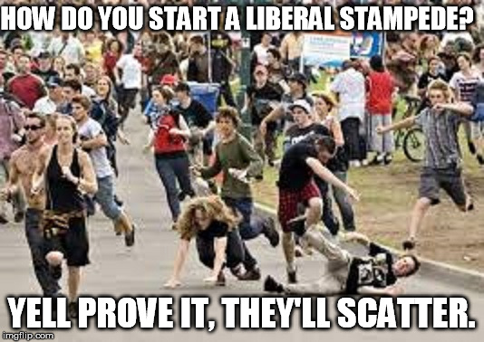 HOW DO YOU START A LIBERAL STAMPEDE? YELL PROVE IT, THEY'LL SCATTER. | image tagged in liberals | made w/ Imgflip meme maker