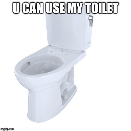 Just make sure to flush | U CAN USE MY TOILET | image tagged in toilet paper,memed,bungholed | made w/ Imgflip meme maker