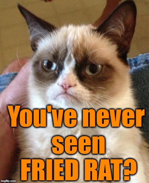 Grumpy Cat Meme | You've never seen FRIED RAT? | image tagged in memes,grumpy cat | made w/ Imgflip meme maker