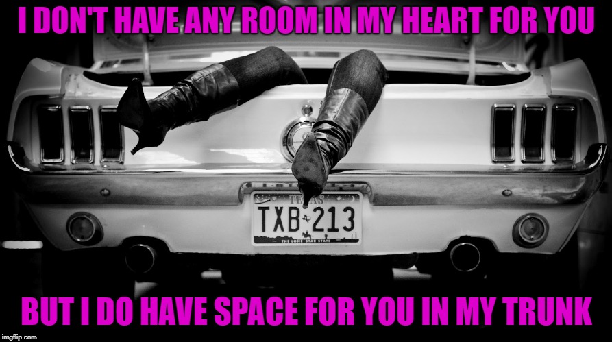 Perfect fit............ | I DON'T HAVE ANY ROOM IN MY HEART FOR YOU; BUT I DO HAVE SPACE FOR YOU IN MY TRUNK | image tagged in the hooker in the trunk of my car,memes,funny,trunk,space | made w/ Imgflip meme maker