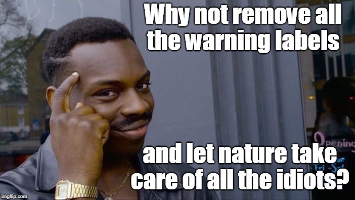 Roll Safe Think About It Meme | Why not remove all the warning labels and let nature take care of all the idiots? | image tagged in memes,roll safe think about it | made w/ Imgflip meme maker