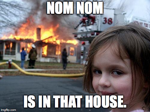 Disaster Girl | NOM NOM; IS IN THAT HOUSE. | image tagged in memes,disaster girl | made w/ Imgflip meme maker