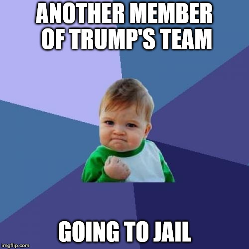 Success Kid Meme | ANOTHER MEMBER OF TRUMP'S TEAM; GOING TO JAIL | image tagged in memes,success kid | made w/ Imgflip meme maker