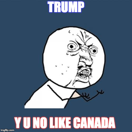 Y U No Meme | TRUMP; Y U NO LIKE CANADA | image tagged in memes,y u no | made w/ Imgflip meme maker