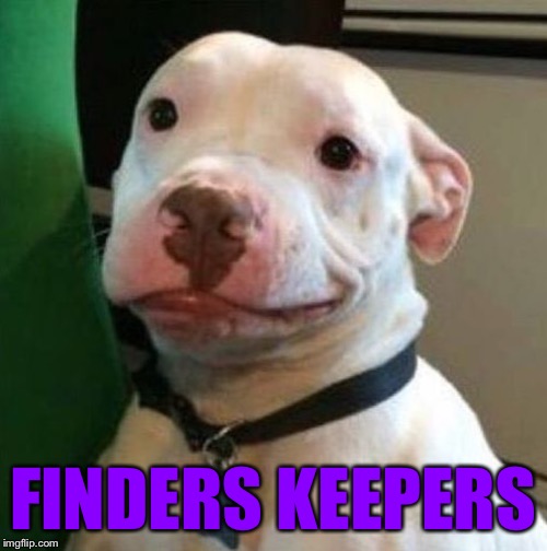 Awkward Dog | FINDERS KEEPERS | image tagged in awkward dog | made w/ Imgflip meme maker