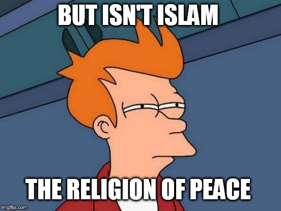 Futurama Fry Meme | BUT ISN'T ISLAM THE RELIGION OF PEACE | image tagged in memes,futurama fry | made w/ Imgflip meme maker