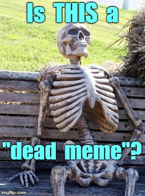Dead Meme | Is  THIS  a; "dead  meme"? | image tagged in memes,waiting skeleton,dead memes | made w/ Imgflip meme maker