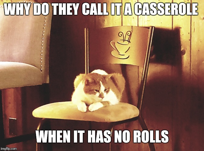 Casserole cat | WHY DO THEY CALL IT A CASSEROLE; WHEN IT HAS NO ROLLS | image tagged in cat,thinking,stoned | made w/ Imgflip meme maker