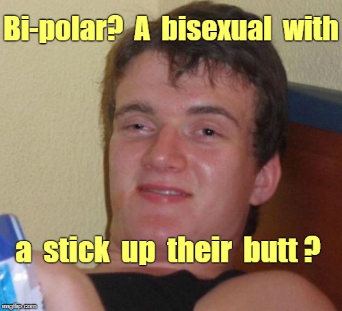 10 Guy Meme | Bi-polar?  A  bisexual  with; a  stick  up  their  butt ? | image tagged in memes,10 guy,bipolar,bisexual | made w/ Imgflip meme maker