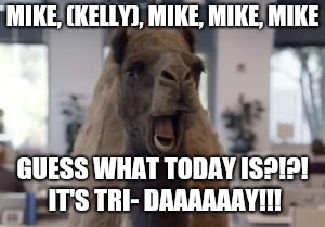 Hump Day Camel | MIKE, (KELLY), MIKE, MIKE, MIKE; GUESS WHAT TODAY IS?!?! IT'S TRI- DAAAAAAY!!! | image tagged in hump day camel | made w/ Imgflip meme maker