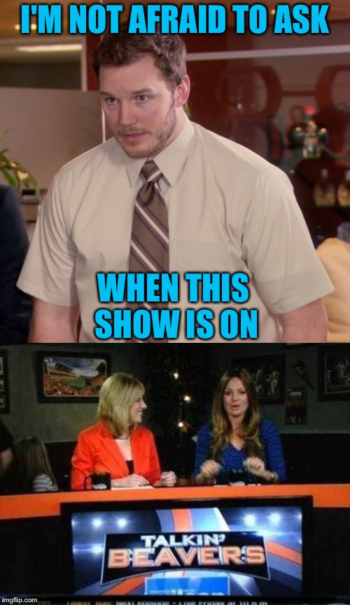 Piqued my interest too! | I'M NOT AFRAID TO ASK; WHEN THIS SHOW IS ON; _________________ | image tagged in afraid to ask andy,beavers,memes,funny | made w/ Imgflip meme maker