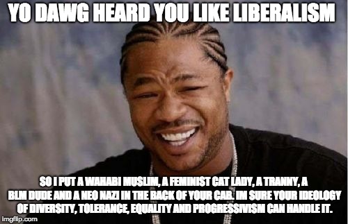 Yo Dawg Heard You Meme | YO DAWG HEARD YOU LIKE LIBERALISM; SO I PUT A WAHABI MUSLIM, A FEMINIST CAT LADY, A TRANNY, A BLM DUDE AND A NEO NAZI IN THE BACK OF YOUR CAB. IM SURE YOUR IDEOLOGY OF DIVERSITY, TOLERANCE, EQUALITY AND PROGRESSIVISM CAN HANDLE IT. | image tagged in memes,yo dawg heard you | made w/ Imgflip meme maker