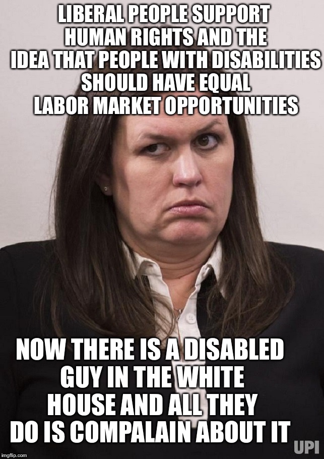 crazy sarah huckabee sanders | LIBERAL PEOPLE SUPPORT HUMAN RIGHTS AND THE IDEA THAT PEOPLE WITH DISABILITIES SHOULD HAVE EQUAL LABOR MARKET OPPORTUNITIES; NOW THERE IS A DISABLED GUY IN THE WHITE HOUSE AND ALL THEY DO IS COMPALAIN ABOUT IT | image tagged in crazy sarah huckabee sanders | made w/ Imgflip meme maker