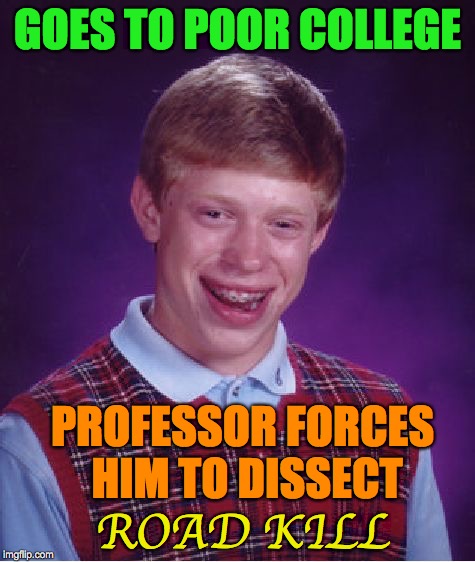 Bad Luck Brian Meme | GOES TO POOR COLLEGE; PROFESSOR FORCES HIM TO DISSECT; ROAD KILL | image tagged in memes,bad luck brian,college,biology,roadkill | made w/ Imgflip meme maker
