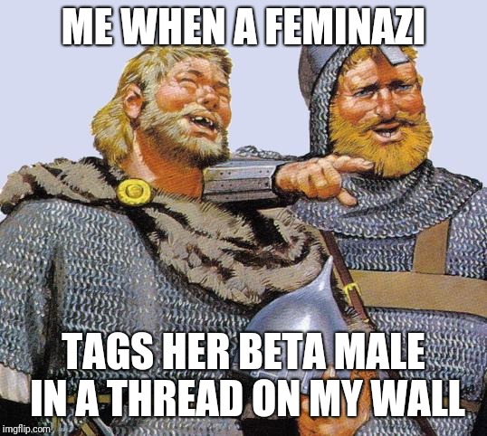 Viking sympathy  | ME WHEN A FEMINAZI; TAGS HER BETA MALE IN A THREAD ON MY WALL | image tagged in viking sympathy | made w/ Imgflip meme maker