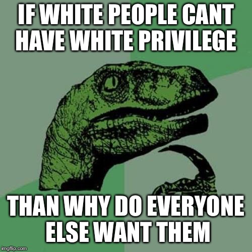 Philosoraptor Meme | IF WHITE PEOPLE CANT HAVE WHITE PRIVILEGE; THAN WHY DO EVERYONE ELSE WANT THEM | image tagged in memes,philosoraptor | made w/ Imgflip meme maker