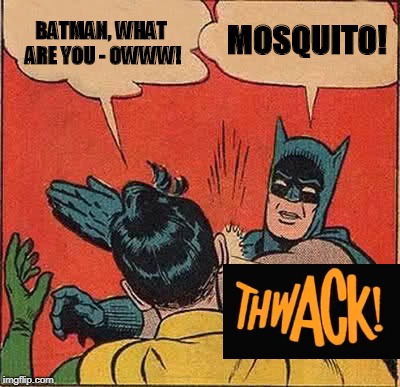 Why I don't do these 2 | BATMAN, WHAT ARE YOU - OWWW! MOSQUITO! | image tagged in memes,batman slapping robin,funny | made w/ Imgflip meme maker