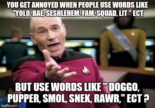 Picard Wtf Meme | YOU GET ANNOYED WHEN PEOPLE USE WORDS LIKE "YOLO, BAE, SESHLEHEM, FAM, SQUAD, LIT " ECT; BUT USE WORDS LIKE " DOGGO, PUPPER, SMOL, SNEK, RAWR," ECT ? | image tagged in memes,picard wtf | made w/ Imgflip meme maker