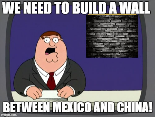 Peter Griffin News | WE NEED TO BUILD A WALL; BETWEEN MEXICO AND CHINA! | image tagged in memes,peter griffin news | made w/ Imgflip meme maker