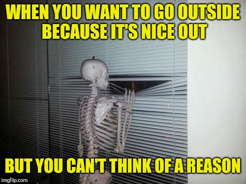 First world problems skeleton | WHEN YOU WANT TO GO OUTSIDE BECAUSE IT'S NICE OUT; BUT YOU CAN'T THINK OF A REASON | image tagged in skeleton looking out window,waiting skeleton,skeleton | made w/ Imgflip meme maker