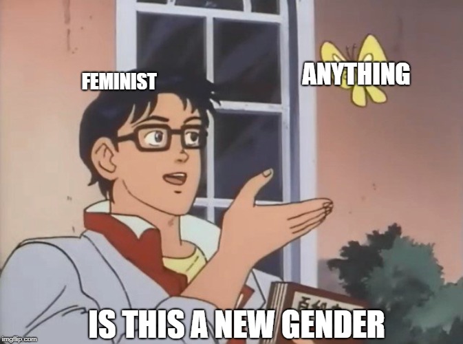 Is this a bird? | ANYTHING; FEMINIST; IS THIS A NEW GENDER | image tagged in is this a bird,ssby,funny | made w/ Imgflip meme maker