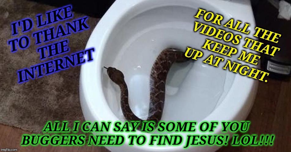 It's A Twisted World After All | FOR ALL THE VIDEOS THAT KEEP ME UP AT NIGHT. I'D LIKE TO THANK THE INTERNET; ALL I CAN SAY IS SOME OF YOU BUGGERS NEED TO FIND JESUS! LOL!!! | image tagged in it's a trap,religious,funny meme,snakes,goofy memes,toilet humor | made w/ Imgflip meme maker