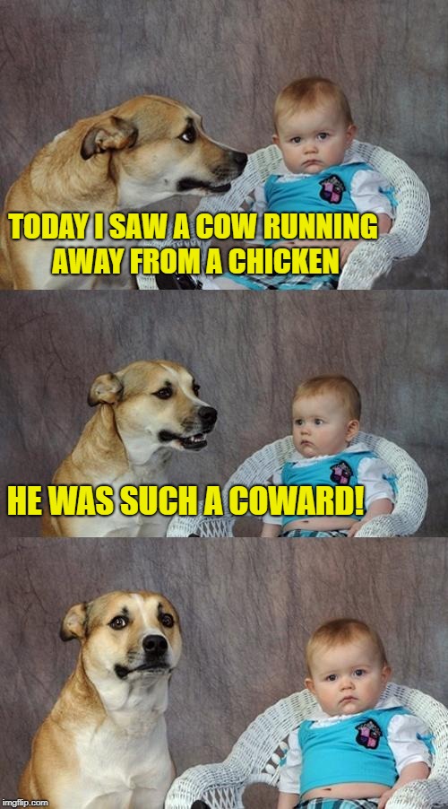 Dad Joke Dog Meme | TODAY I SAW A COW RUNNING AWAY FROM A CHICKEN; HE WAS SUCH A COWARD! | image tagged in memes,dad joke dog | made w/ Imgflip meme maker