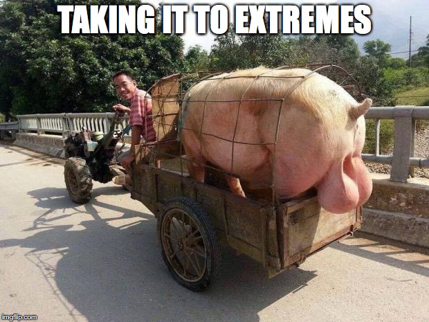 TAKING IT TO EXTREMES | made w/ Imgflip meme maker