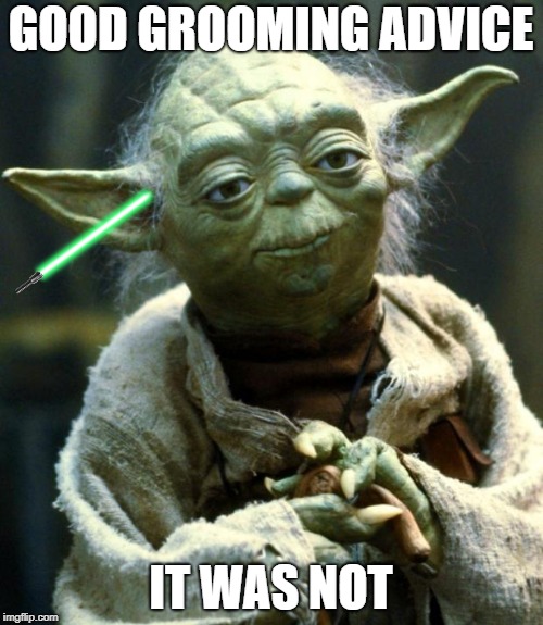 Star Wars Yoda Meme | GOOD GROOMING ADVICE IT WAS NOT | image tagged in memes,star wars yoda | made w/ Imgflip meme maker