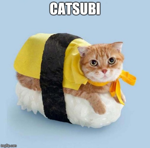 Cat Sushi | CATSUBI | image tagged in cat sushi | made w/ Imgflip meme maker