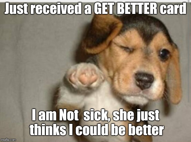 Feel better | Just received a GET BETTER card; I am Not  sick, she just thinks I could be better | image tagged in feel better | made w/ Imgflip meme maker