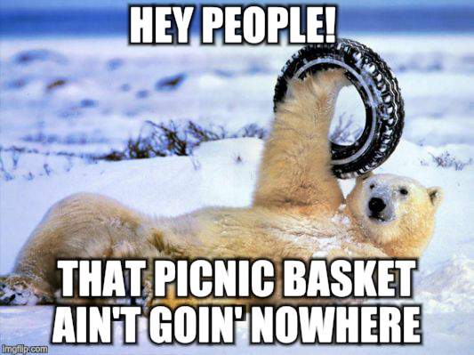 Bear with tire | HEY PEOPLE! THAT PICNIC BASKET AIN'T GOIN' NOWHERE | image tagged in funny animals,polar bears | made w/ Imgflip meme maker